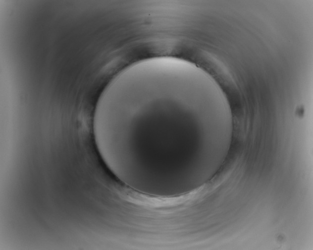 X0000102400035200808151953