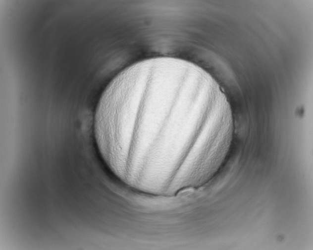 X0000102400036200808151953