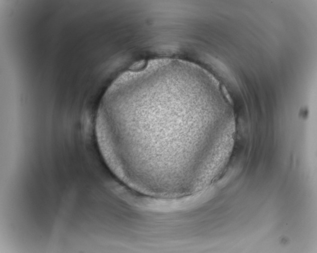 X0000102400037200808151953