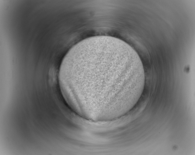 X0000102400038200808151953