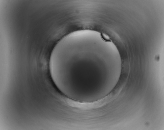 X0000102400039200808151953