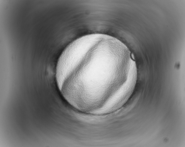 X0000102400040200808151953