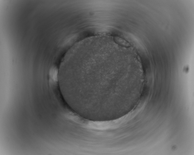 X0000102400041200808151953