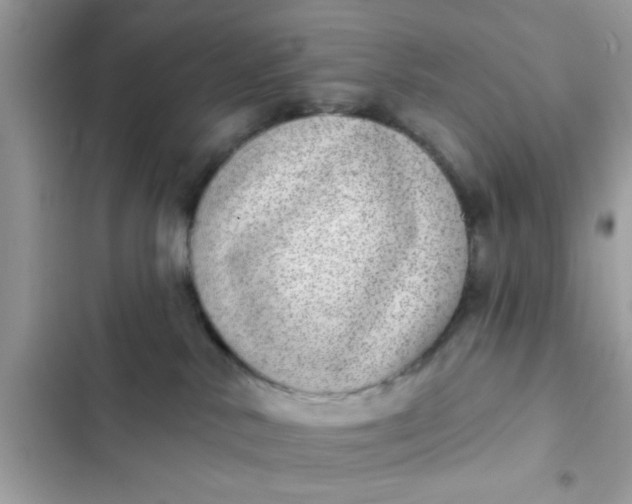 X0000102400042200808151953