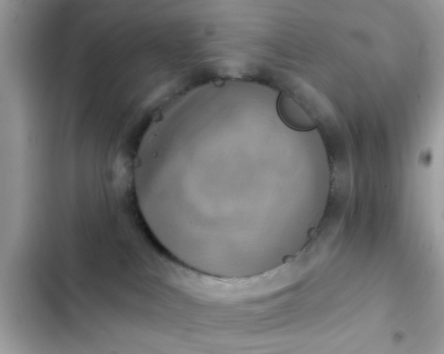 X0000102400043200808151953