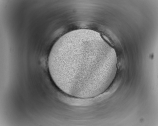 X0000102400044200808151953