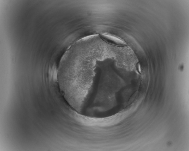 X0000102400046200808151953