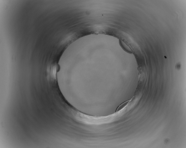 X0000102400047200808151953