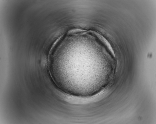 X0000102400048200808151953