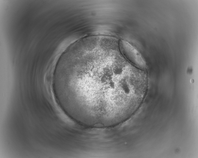 X0000102400049200808151952