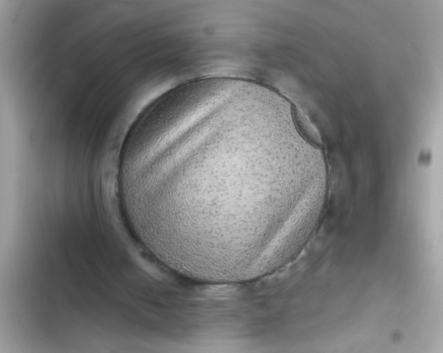 X0000102400050200808151952