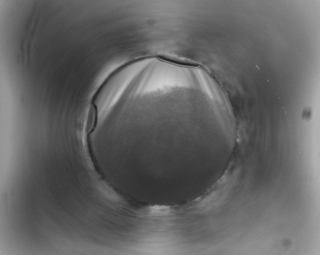 X0000102400052200808151952