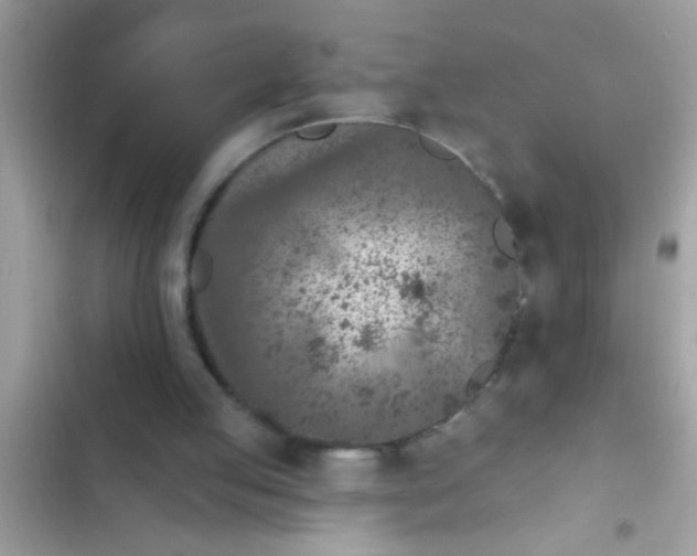 X0000102400053200808151952