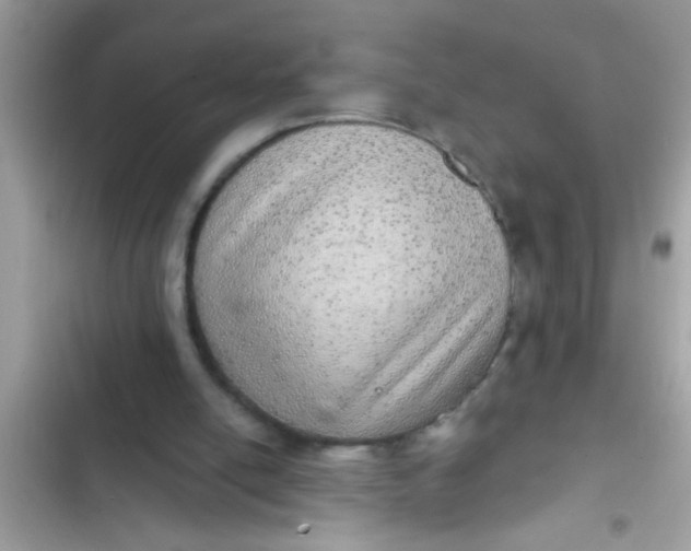 X0000102400054200808151952