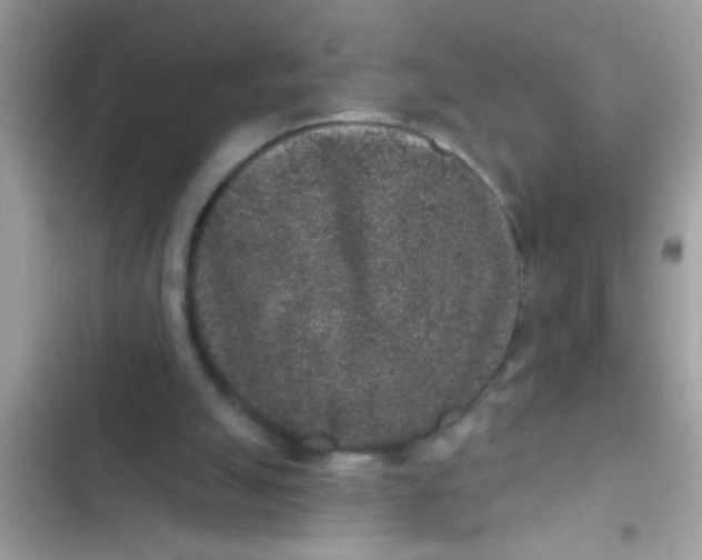 X0000102400055200808151952