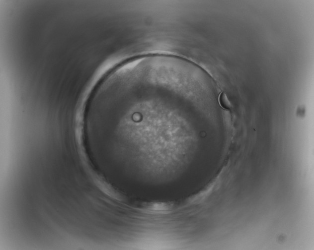 X0000102400056200808151952