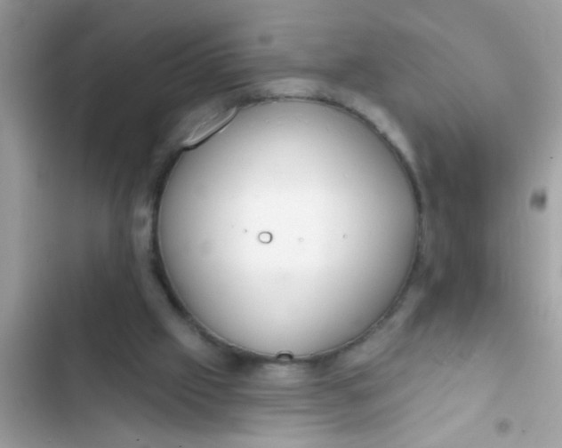 X0000102400057200808151952