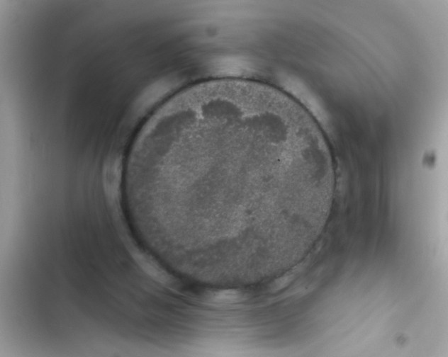 X0000102400058200808151952