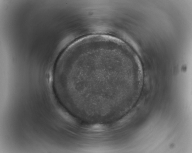 X0000102400059200808151952