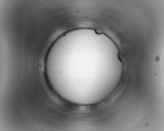 X0000102400060200808151952