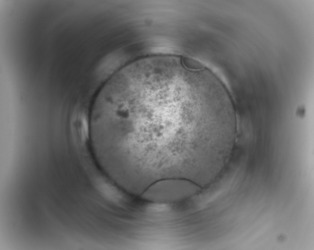 X0000102400061200808151952