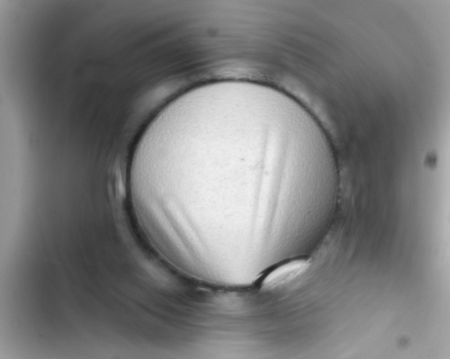 X0000102400062200808151952