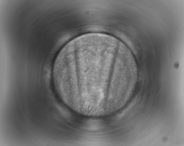 X0000102400063200808151952