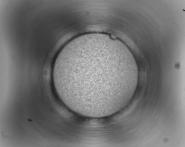 X0000102400064200808151952