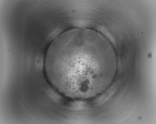 X0000102400065200808151952