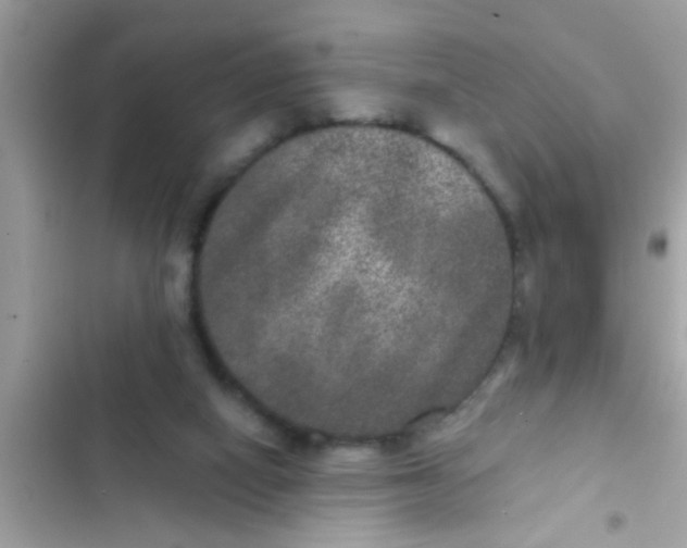 X0000102400066200808151952