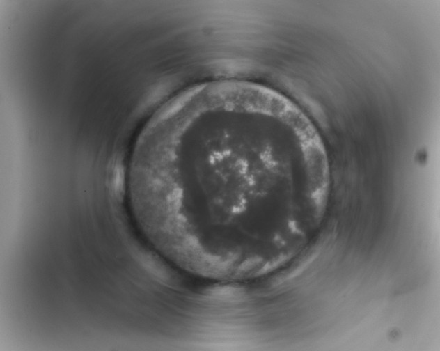 X0000102400067200808151952