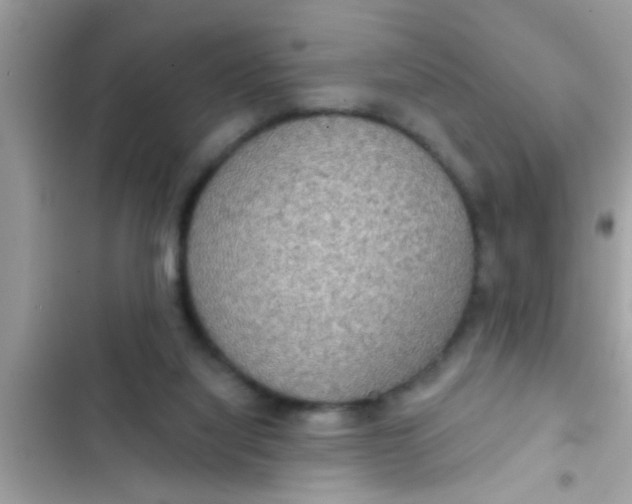 X0000102400068200808151952