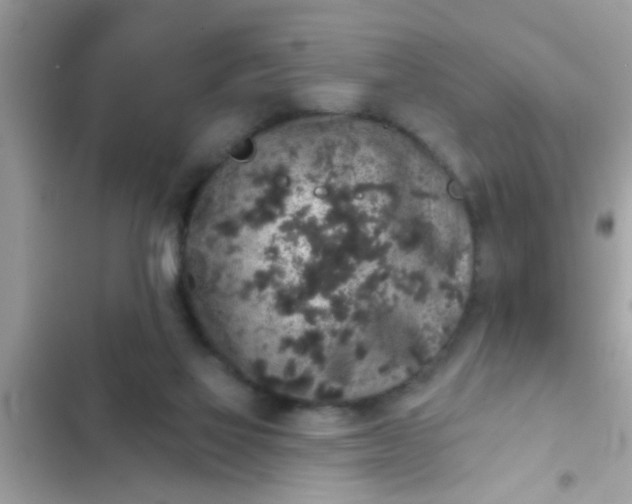 X0000102400069200808151952