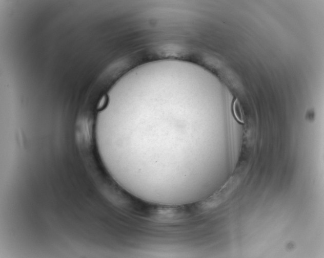 X0000102400070200808151952