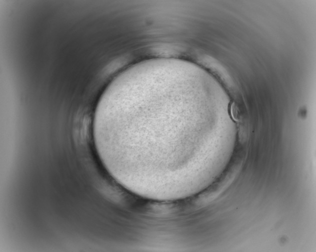 X0000102400071200808151952