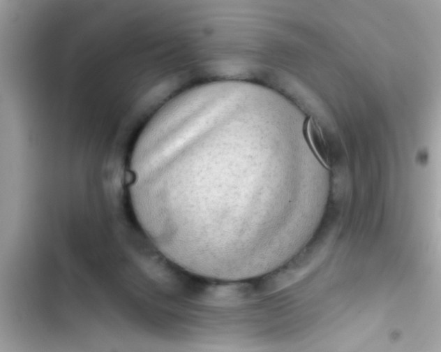 X0000102400072200808151952