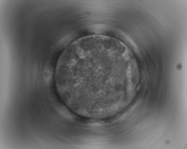 X0000102400073200808151952