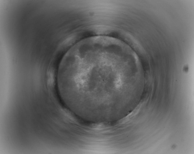 X0000102400074200808151952