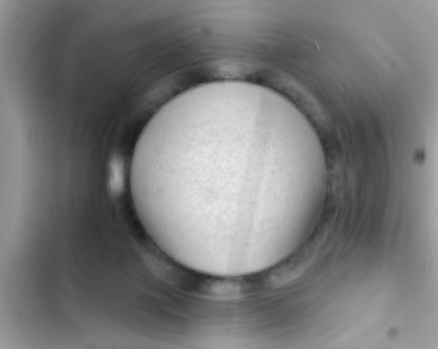 X0000102400075200808151952