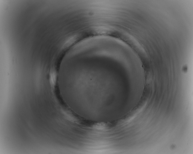 X0000102400076200808151952