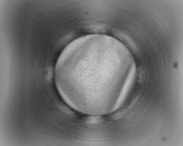 X0000102400077200808151952