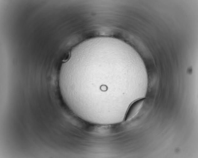 X0000102400078200808151952