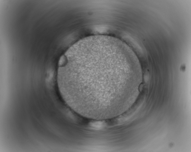 X0000102400079200808151952