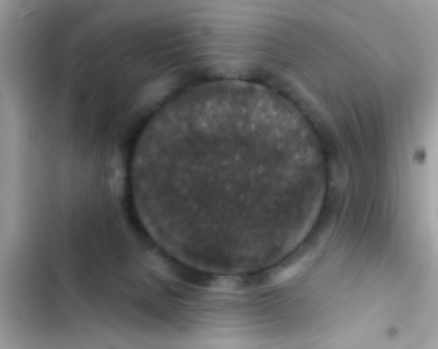 X0000102400080200808151952