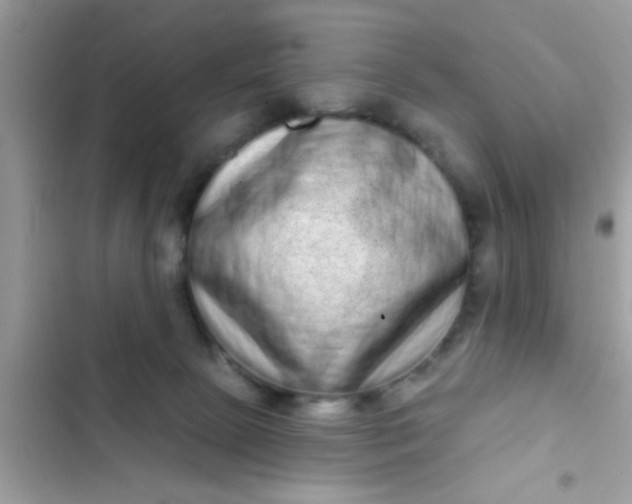 X0000102400081200808151952