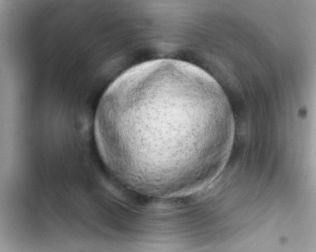 X0000102400082200808151952