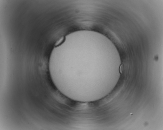 X0000102400083200808151952