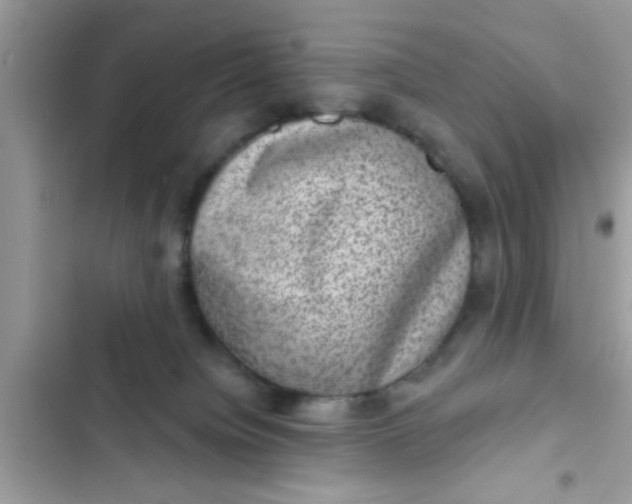 X0000102400084200808151952