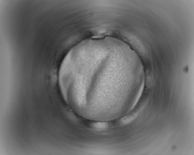 X0000102400085200808151952