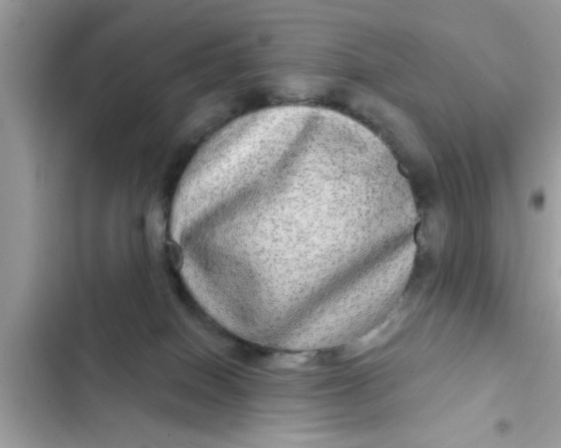 X0000102400086200808151952